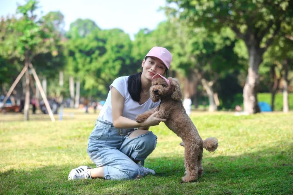 Chapeau pour chien et petit chien