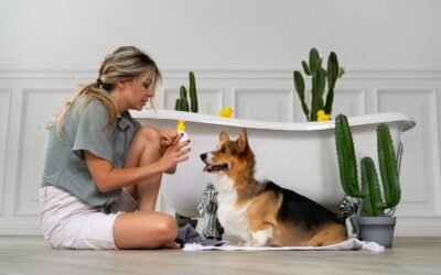 Quelle alimentation choisir selon l’âge et la taille de son chien