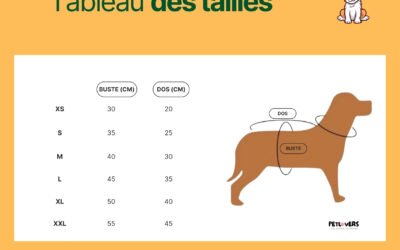 Guide de tailles vêtement pour chien : bien mesurer et choisir