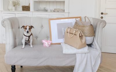 Les indispensables à avoir pour accueillir un chiot à la maison