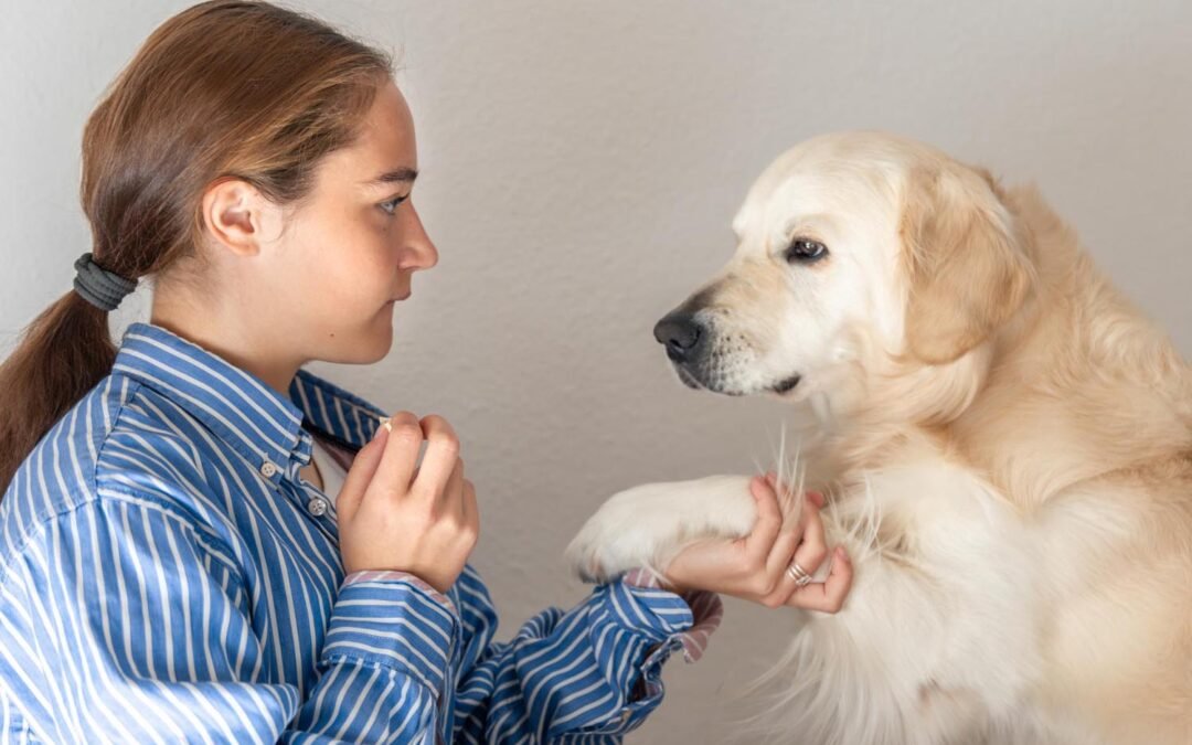 Les signes qui montrent que votre animal vous aime