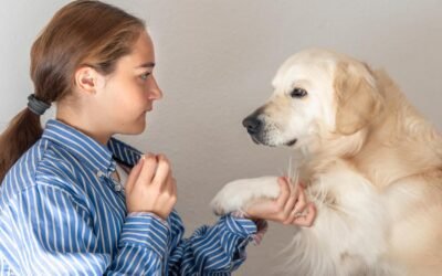 Les signes qui montrent que votre animal vous aime