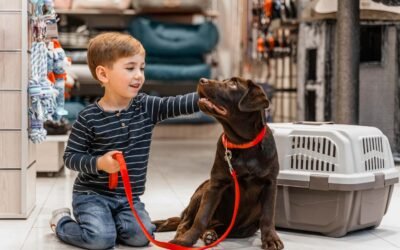 Panier pour chien – comment choisir la bonne taille et le bon modèle